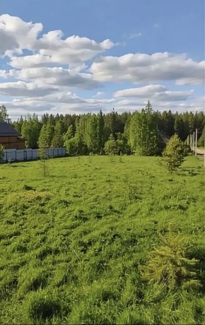 ДП Родной в Домодедово - domodedovo.yutvil.ru - фото 3 ДП Родной в Домодедово - domodedovo.yutvil.ru - фото 3
