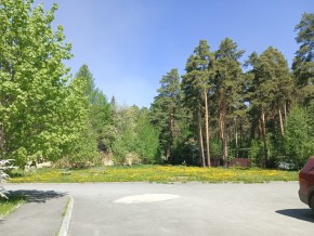 ул. Сосновая, 8 в Домодедово - domodedovo.yutvil.ru - фото 26